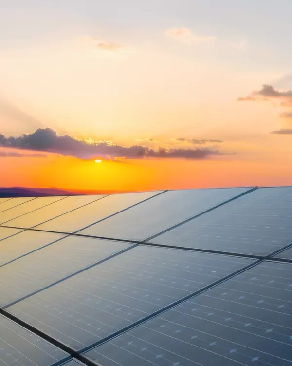 Sustainable production